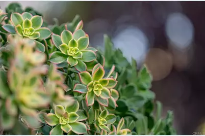 12604 Carmel Country Road #17, San Diego, CA 92130 - Photo 43