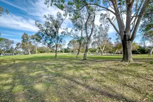 8147 Via Mallorca, La Jolla, CA 92037 - Photo 17