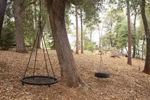 22234 Crestline Rd, Palomar Mountain, CA 92060 - Photo 43