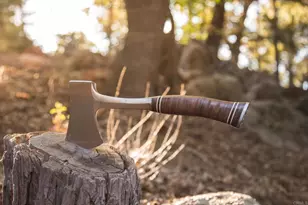 22234 Crestline Rd, Palomar Mountain, CA 92060 - Photo 55