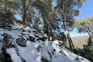 22234 Crestline Rd, Palomar Mountain, CA 92060 - Photo 67