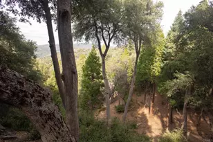 22234 Crestline Rd, Palomar Mountain, CA 92060 - Photo 45