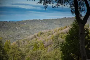 22234 Crestline Rd, Palomar Mountain, CA 92060 - Photo 47