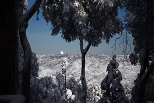 22234 Crestline Rd, Palomar Mountain, CA 92060 - Photo 33