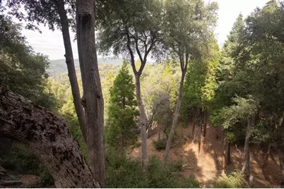 22234 Crestline Road, Palomar Mountain, CA 92060 - Photo 39