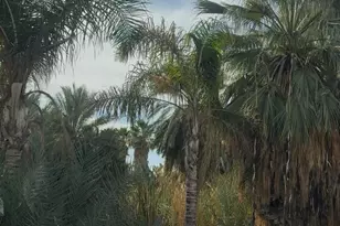 2310 W Hwy 86 Rd, Brawley, CA 92227 - Photo 3