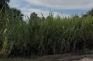 2310 W Hwy 86 Rd, Brawley, CA 92227 - Photo 27