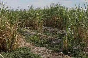 2310 W Hwy 86 Rd, Brawley, CA 92227 - Photo 25