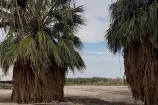 2310 W Hwy 86 Rd, Brawley, CA 92227 - Photo 29