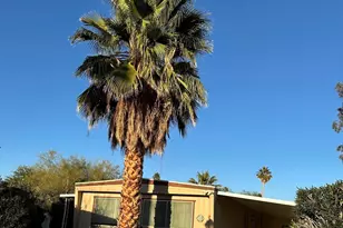 1010 Palm Canyon Dr, Borrego Springs, CA 92004 - Photo 13