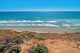 1715 Kennington Rd, Encinitas, CA 92024 - Photo 39