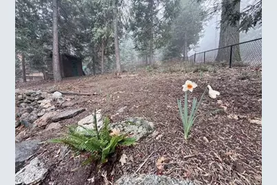 22258 Crestline Road, Palomar Mountain, CA 92060 - Photo 47