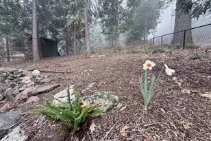 22258 Crestline Rd, Palomar Mountain, CA 92060 - Photo 47