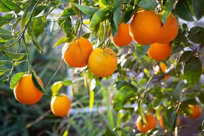 30837 Palomar Vista Drive, Valley Center, CA 92082 - Photo 49