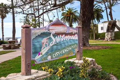 920 Stratford Drive, Encinitas, CA 92024 - Photo 45