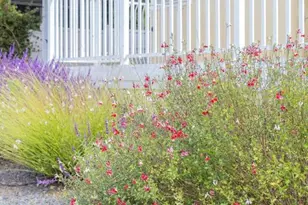 35109 Hwy 79, Warner Springs, CA 92086 - Photo 37