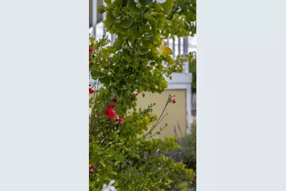 35109 Hwy 79 #91, Warner Springs, CA 92086 - Photo 43