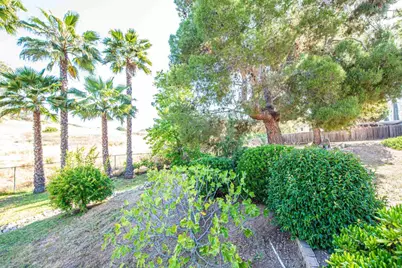2432 Live Oak Road, Escondido, CA 92029 - Photo 57