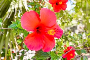 224 Astro Ct, Vista, CA 92083 - Photo 37