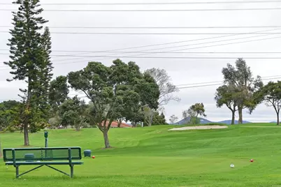 1644 Forestdale Drive, Encinitas, CA 92024 - Photo 21