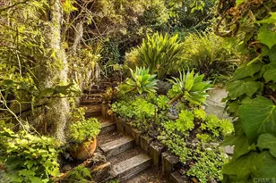 2871 Brant St, San Diego, CA 92103 - Photo 61