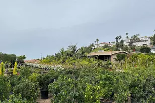 717 Ora Avo, Vista, CA 92084 - Photo 3