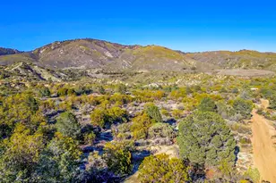 36719 Equiestrian, Anza, CA 92539 - Photo 17