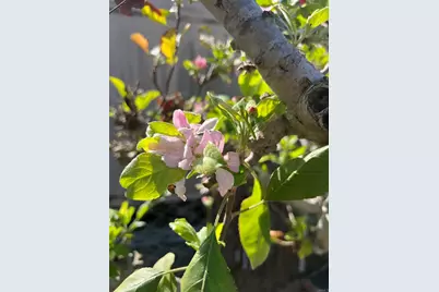 200 N El Camino Real #150, Oceanside, CA 92058 - Photo 47