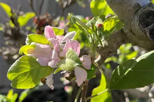 200 N El Camino Real, Oceanside, CA 92058 - Photo 47