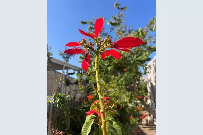 200 N El Camino Real #150, Oceanside, CA 92058 - Photo 43