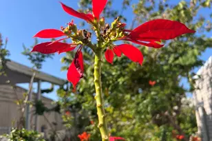 200 N El Camino Real, Oceanside, CA 92058 - Photo 43