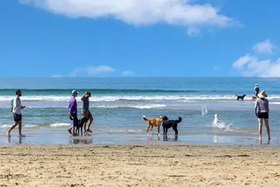 2531 Delphinium Lane, Carlsbad, CA 92008 - Photo 27