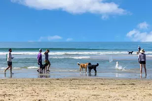 2531 Delphinium Ln, Carlsbad, CA 92008 - Photo 27