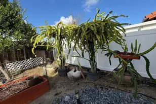 10434 Cheviot Ct, San Diego, CA 92126 - Photo 15