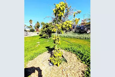 6951 W Lilac Road, Bonsall, CA 92003 - Photo 59