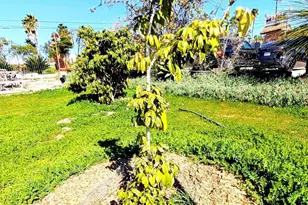 6951 W Lilac Rd, Bonsall, CA 92003 - Photo 59