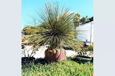 6951 W Lilac Road, Bonsall, CA 92003 - Photo 61