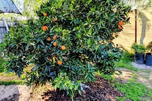 6951 W Lilac Rd, Bonsall, CA 92003 - Photo 55