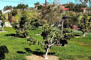 6951 W Lilac Rd, Bonsall, CA 92003 - Photo 63