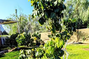 6951 W Lilac Rd, Bonsall, CA 92003 - Photo 59