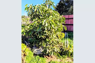 6951 W Lilac Road, Bonsall, CA 92003 - Photo 53