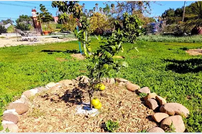 6951 W Lilac Road, Bonsall, CA 92003 - Photo 59