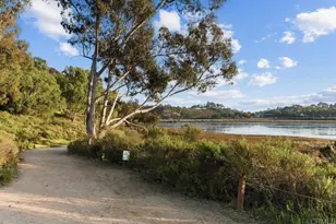 7302 Golden Star Ln, Carlsbad, CA 92011 - Photo 37