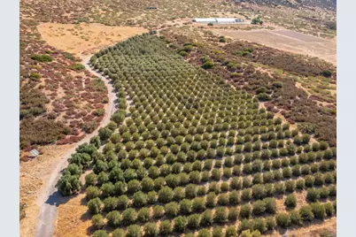 129 .55 +/ Acres San Felipe Road, Warner Springs, CA 92086 - Photo 1