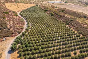 129 55 +/ Acres San Felipe Rd, Warner Springs, CA 92086 - Photo 1