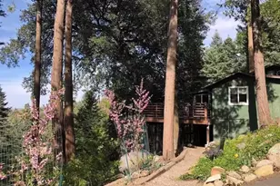 22136 Crestline Rd, Palomar Mountain, CA 92060 - Photo 1