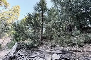 22136 Crestline Rd, Palomar Mountain, CA 92060 - Photo 41