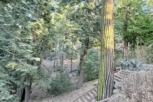 22136 Crestline Rd, Palomar Mountain, CA 92060 - Photo 37