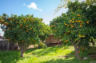 405 Solana Real, Fallbrook, CA 92028 - Photo 35