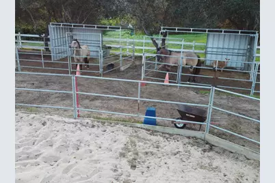 2092 Tudor Lane, Fallbrook, CA 92028 - Photo 43